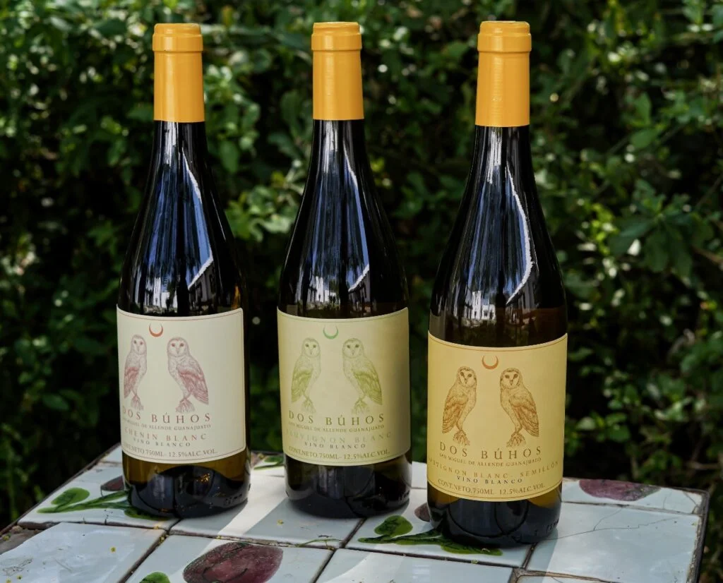 Botellas de vino blanco y semillón en un jardín sobre una mesa. 